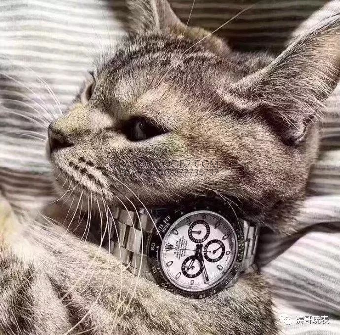 AR Factory Rolex Daytona ve N Factory 4130 mekanizmalı replika: Hangisi daha iyi? Orijinalle karşılaştırmalı inceleme — 2. fotoğraf