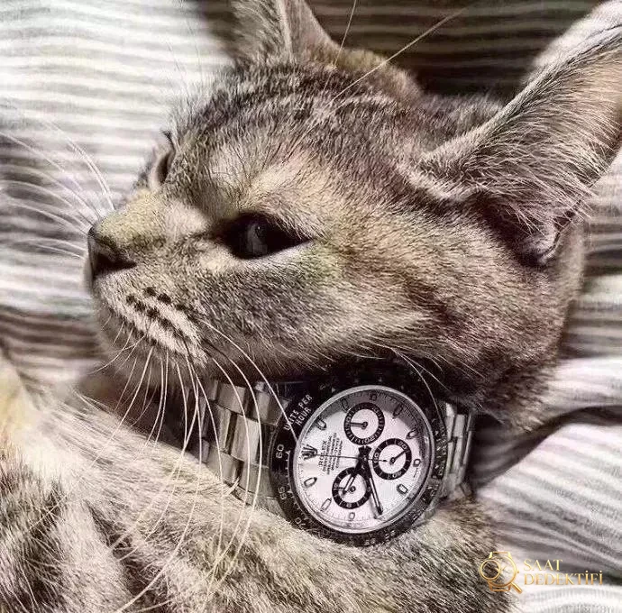 AR Factory Rolex Daytona ve N Factory 4130 mekanizmalı replika: Hangisi daha iyi? Orijinalle karşılaştırmalı inceleme - Kadran Detayı ve Bezel İşçiliği