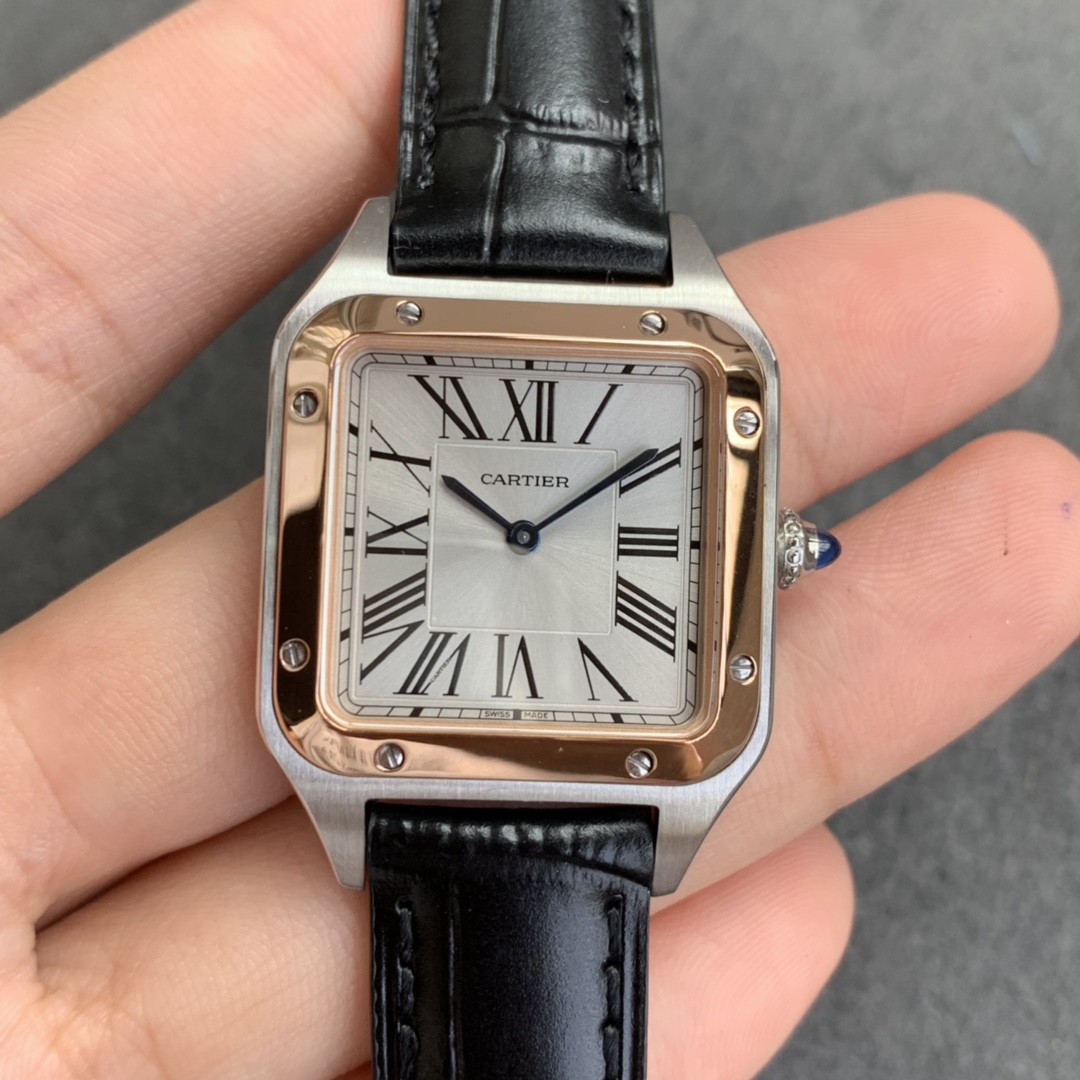 V6F Cartier Santos İki Renk