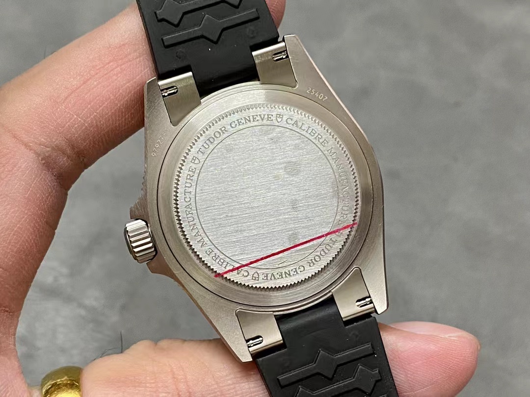 Tudor Pelagos Kasa Arkası
