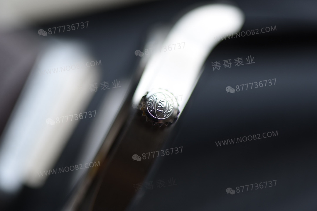V7 Factory IWC Mark XX hızlı değişen kayış işçilik incelemesi — 10. fotoğraf