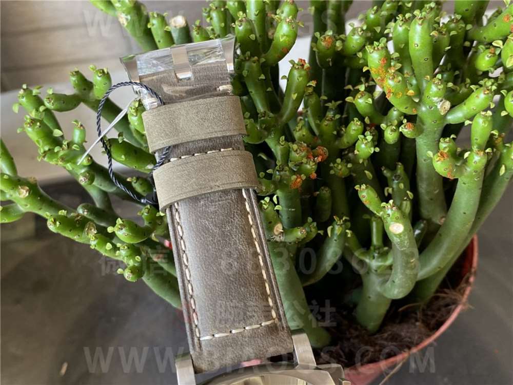 VS Factory Panerai 1314 «Beyaz Prens» minimalizm ruhlu kol saati — 16. fotoğraf