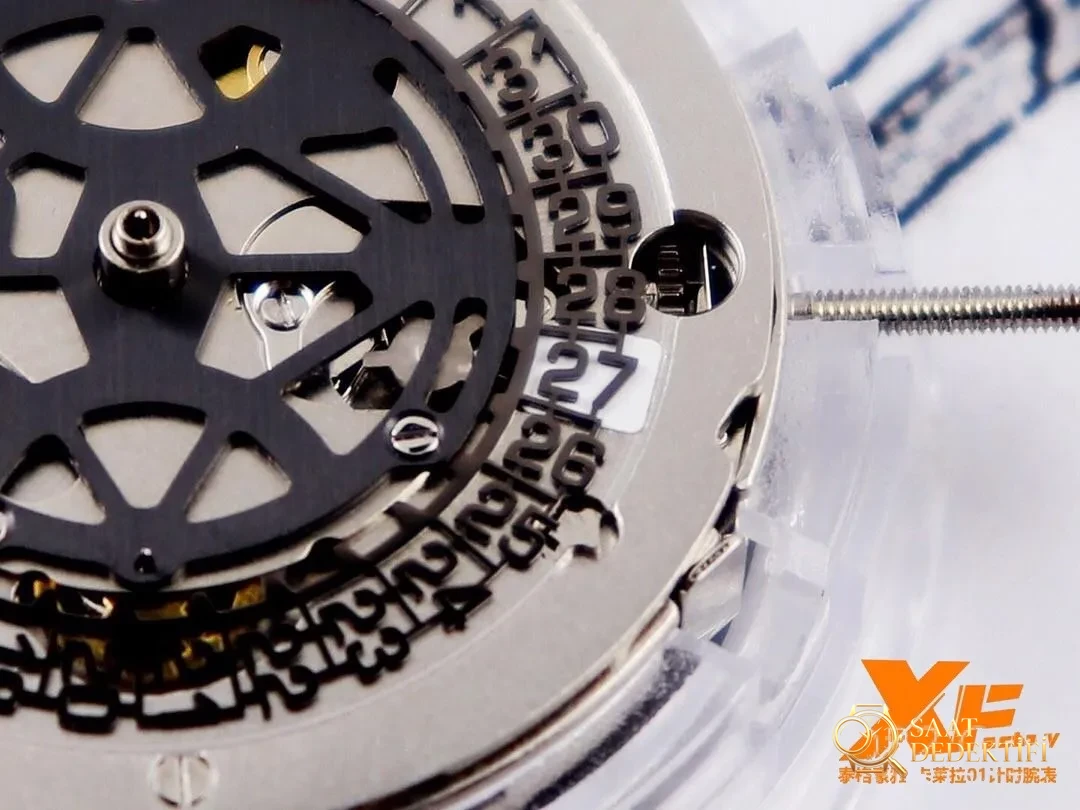 XF Factory TAG Heuer Carrera 01 Tam İskelet Kronograf Detaylı İnceleme - Arka Kapak Gravür ve Seri Numarası