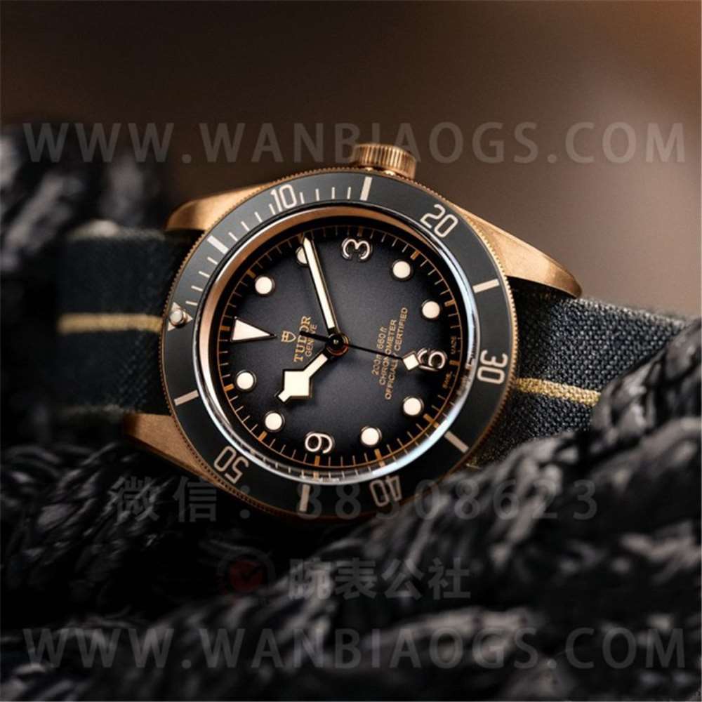 XF Factory Tudor Black Bay serisi "Arduvaz Grisi" bronz saat işçilik incelemesi — 1. fotoğraf